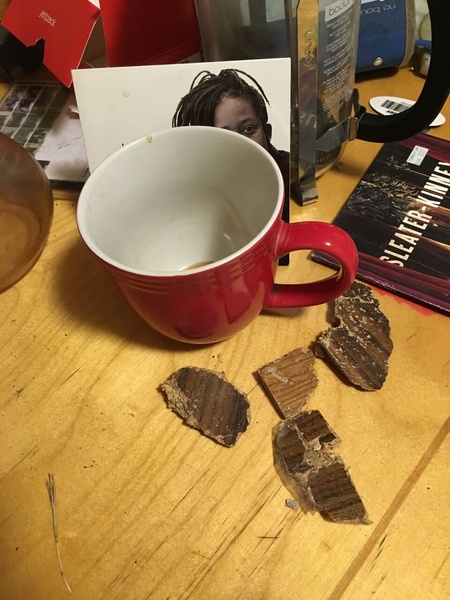 babies are back (Akilah), 2015