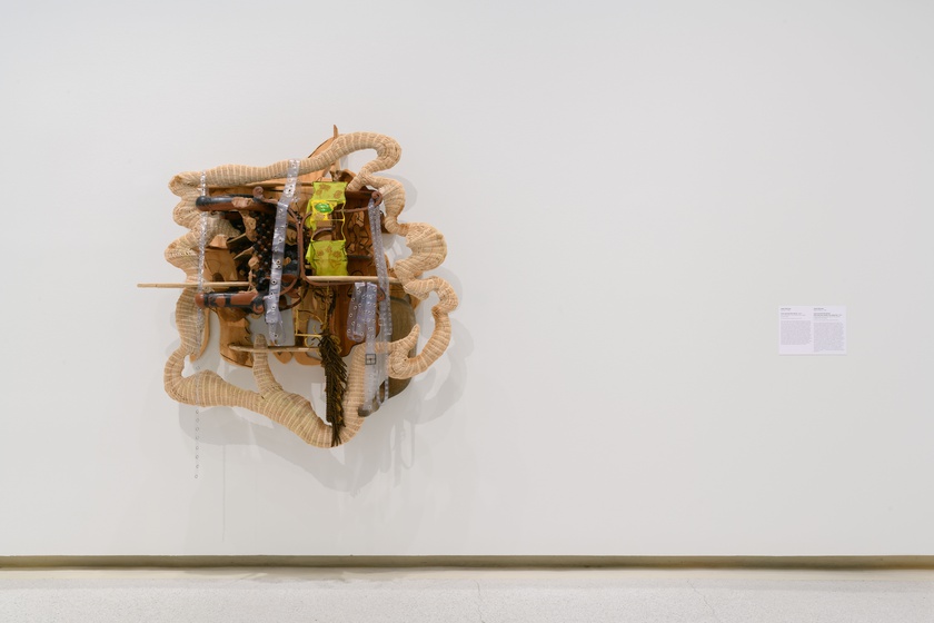 Installation View, Wild Life: Elizabeth Murray & Jessi Reaves, Carnegie Museum, Pittsburgh, September 3, 2021 - January 9, 2022