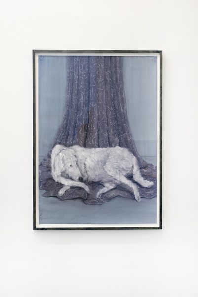 Vessel for Elite Sympathy, 2016