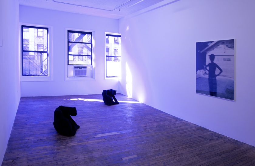 Belief Strategy IX, 2015