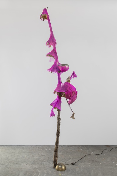 Jessi Reaves, Stubborn half dome lamp, 2020